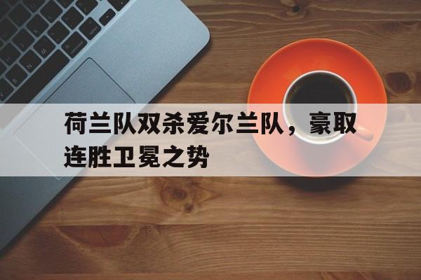 荷兰队双杀爱尔兰队，豪取连胜卫冕之势-平博登录